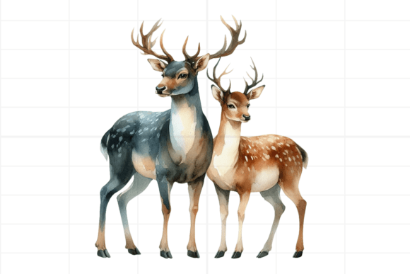 Download Watercolor Boho Deer Valentine Clipart - Premium Bundle